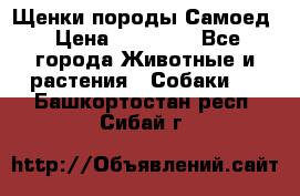 Щенки породы Самоед › Цена ­ 20 000 - Все города Животные и растения » Собаки   . Башкортостан респ.,Сибай г.